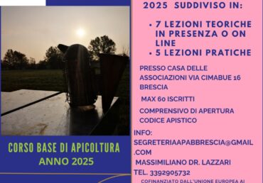 Corso base di apicoltura – 2025